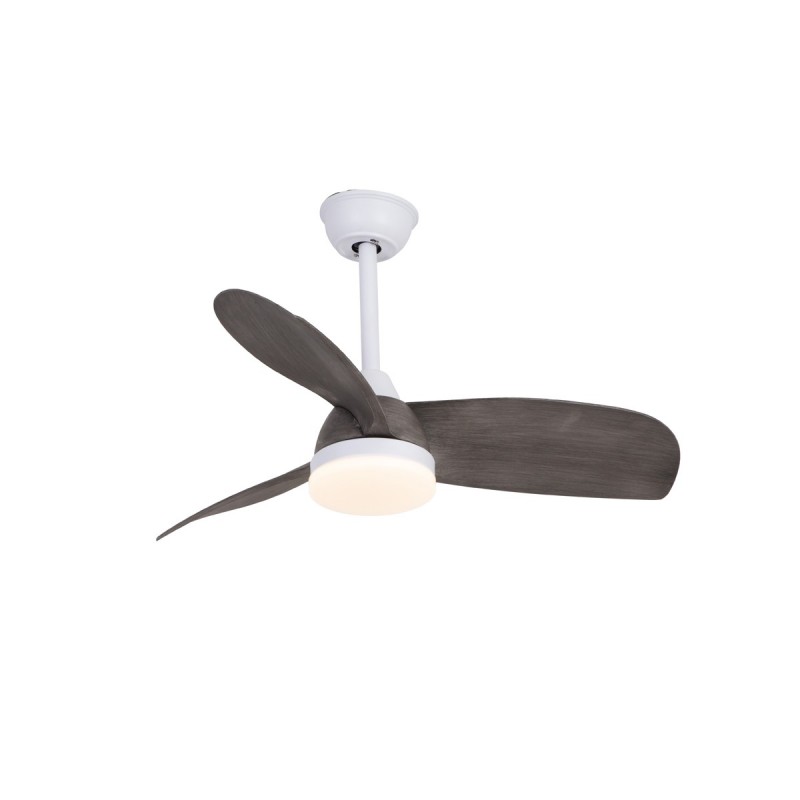 Ventilador de techo Byan Exterior
