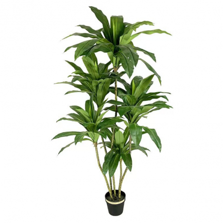 Planta Dracaena Artificial