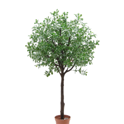 Árbol artificial Polyscias