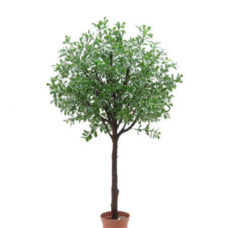 Árbol artificial Polyscias