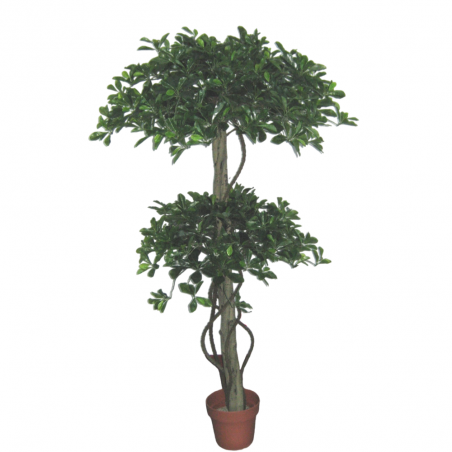 Árbol artificial Polyscias