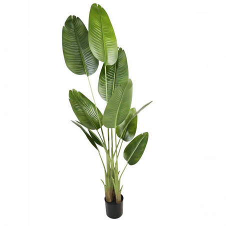 Planta Canna Artificial
