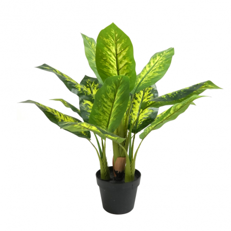 Planta Evergreen  Artificial
