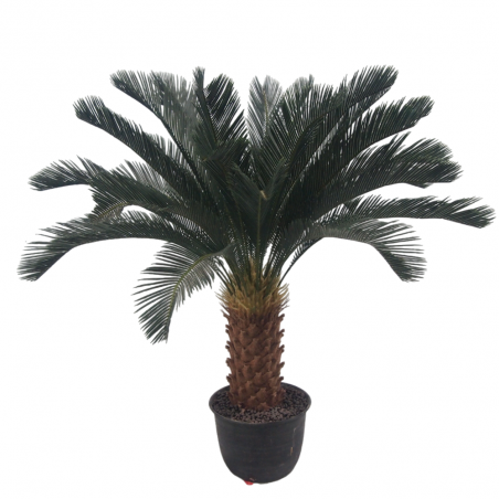 Palmera Sago Cycas Artificial