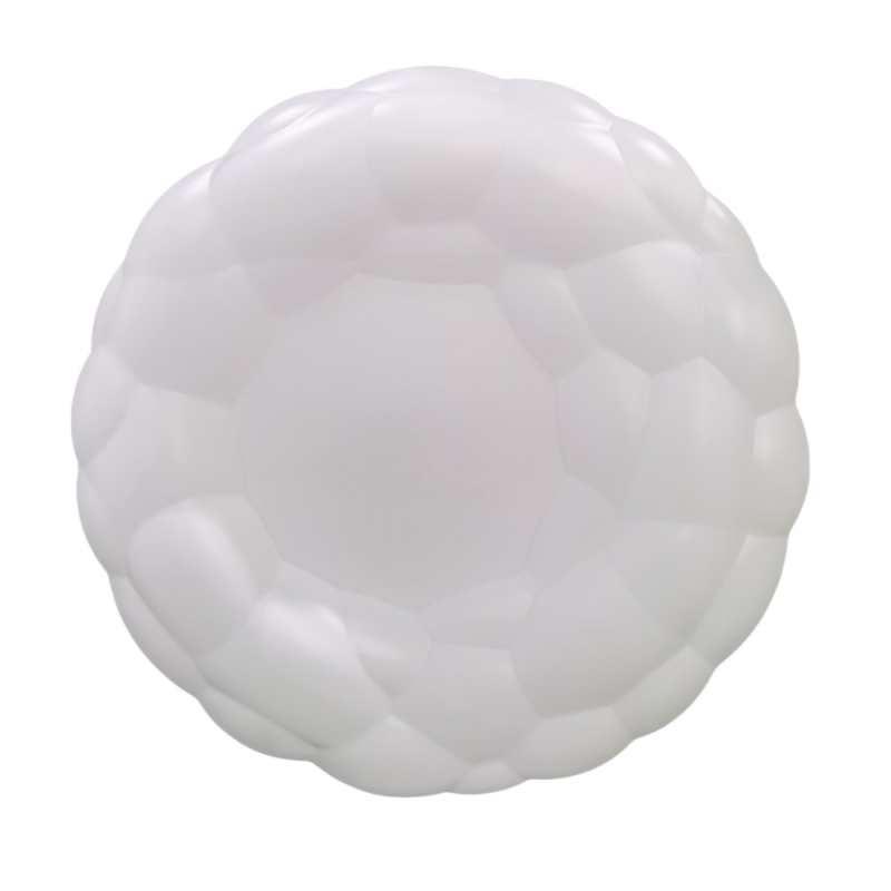 Plafón de techo Holstein