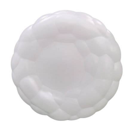 Plafón de techo Holstein